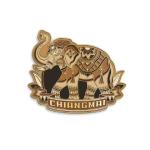 Chiangmai Solid25 magnet Elephant Chiang Mai